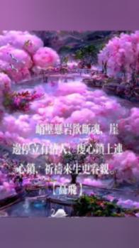 一站式有问必答平台 - 成年人还能练一字马吗???乐享在线解答